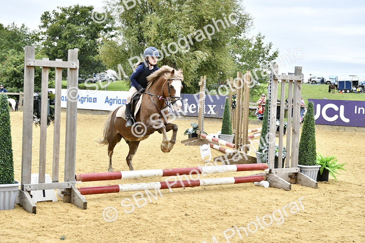 SBM_65484 - J2a mini Tour Junior Pony 30cm Championship