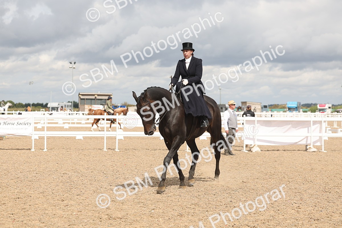 SBM_06369 - Class 22 - SSA - Equitation