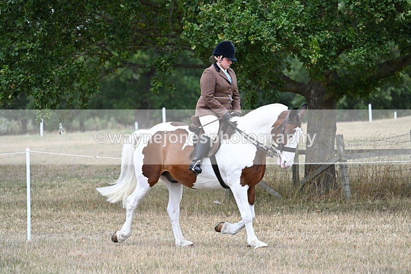 WJ7_4780 - Class 12 Ridden Cob