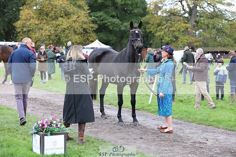 251026A-110233-23469 - F-434-Alexandra.Erskine.Scott