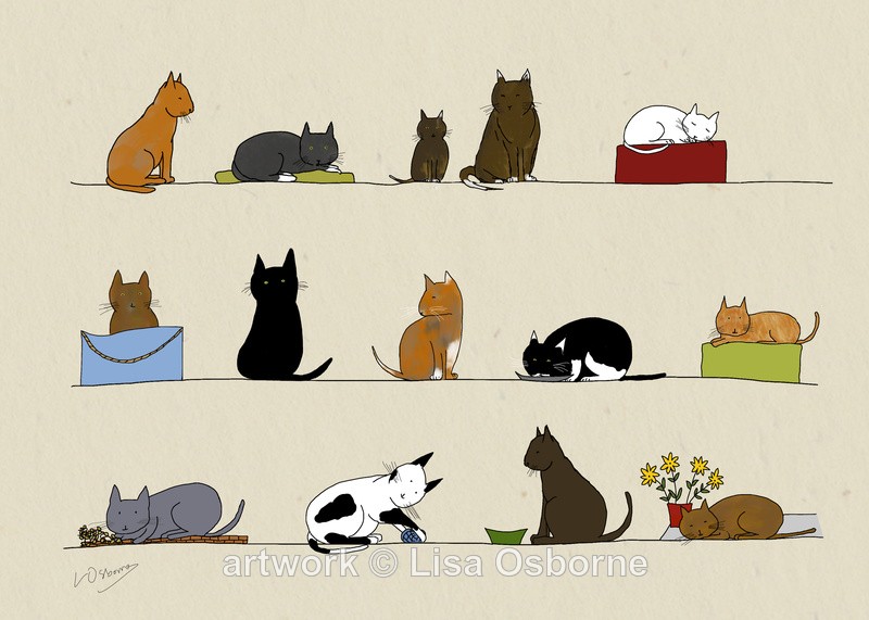 Cats - DIGITAL ARTWORK