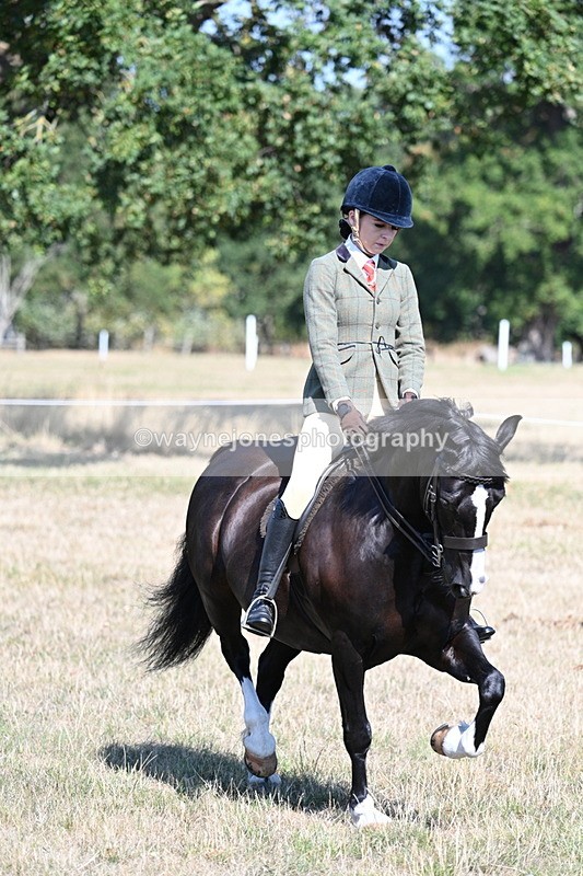 WJ7_3679 - Class 9 Mountain & Moorland Ridden