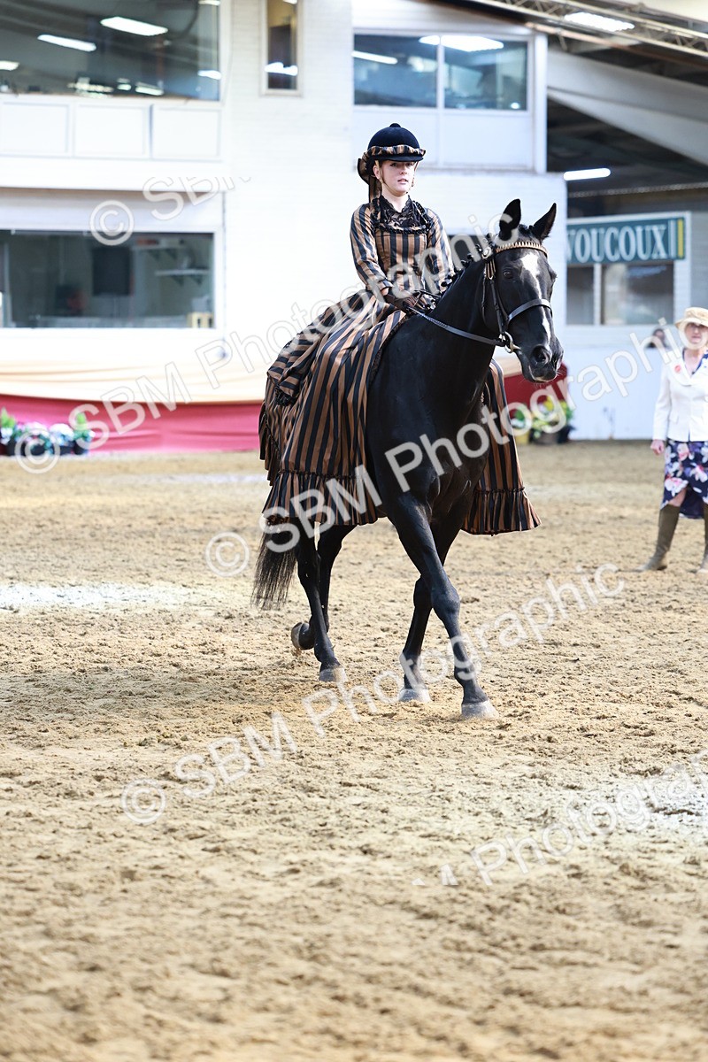 SBM_13466 - Class 104 - Ridden Costume - Astride Junior