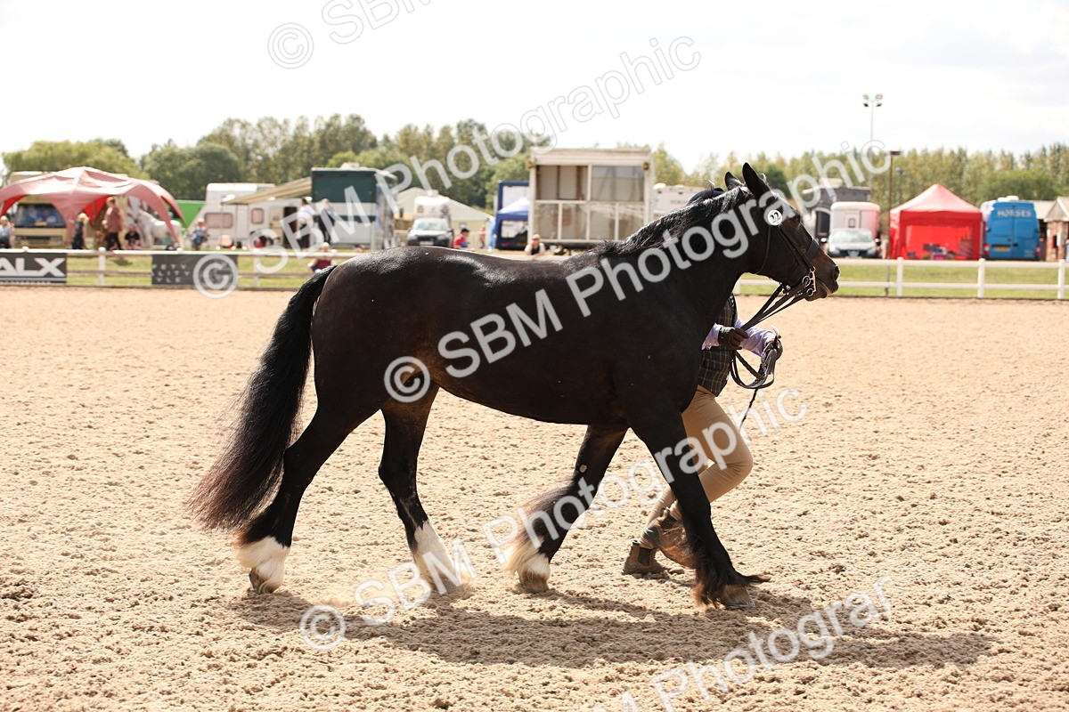 SBM_04625 - Class 20 IH Veteran