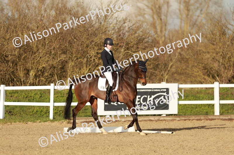 20260314-6358 - CT7 - Elementary 2