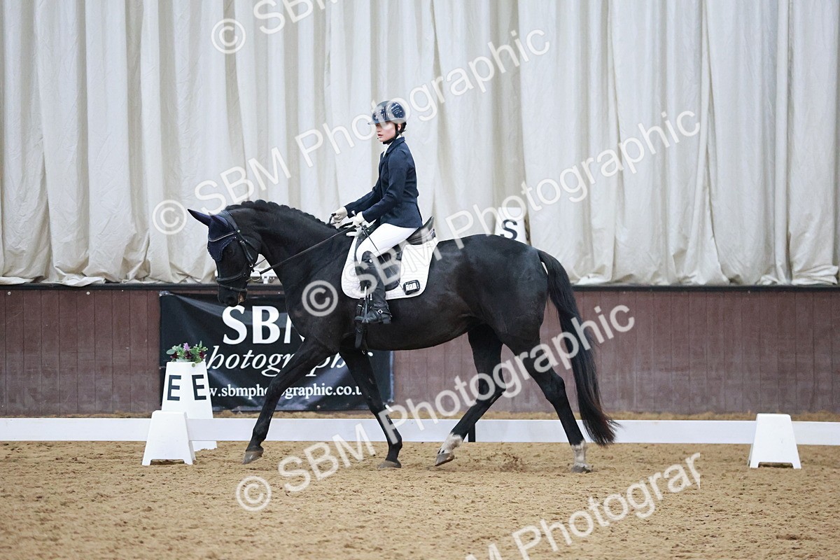 SBM_004700 - Ring 3 - International -  Working Hunter Classes 23-2-25