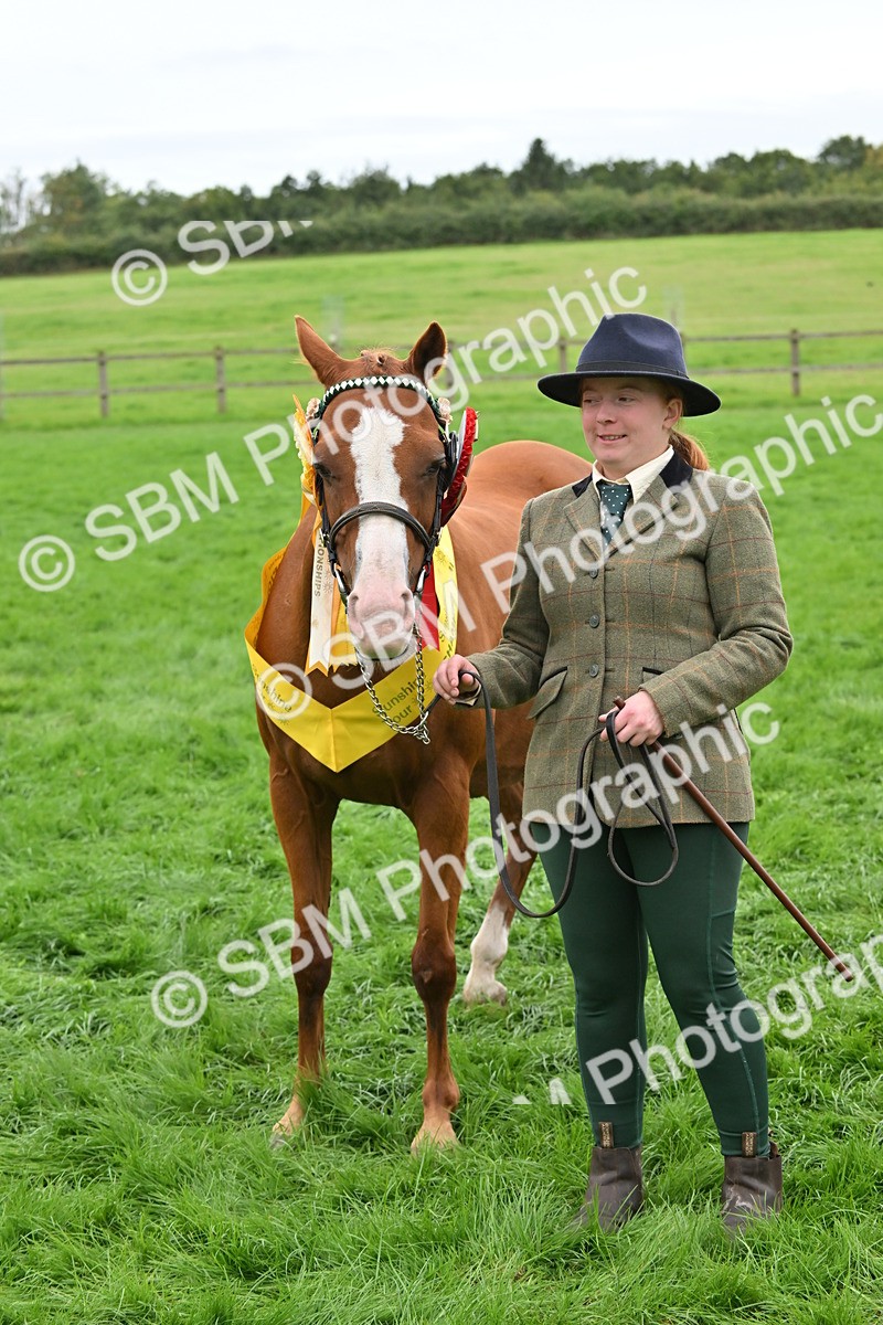 SBM_65053 - In Hand Pony & Younstock Supreme Championship