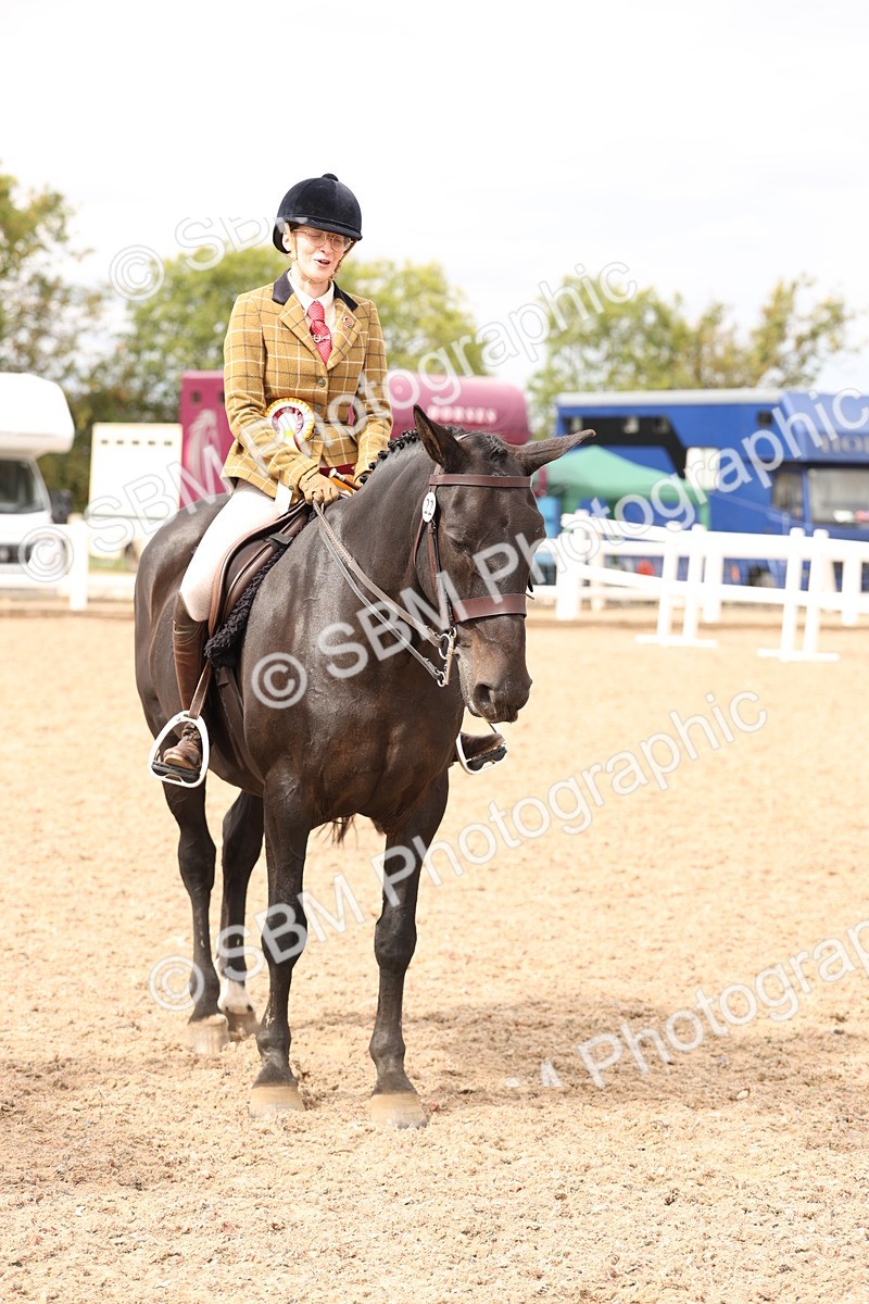 SBM_16532 - Class 212 - Ridden Hunter - Small