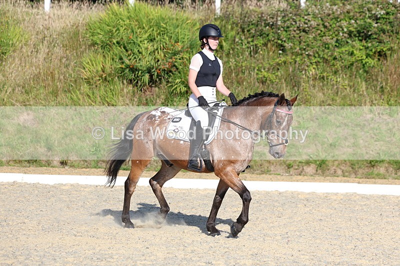 3E7A3641 - Class 2: Intro 1 2024 Section B