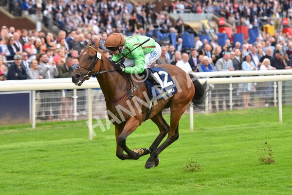 yr24092021r3-32 - Race 3 2.40pm WilliamHill.com Best Odds Guaranteed Stakes