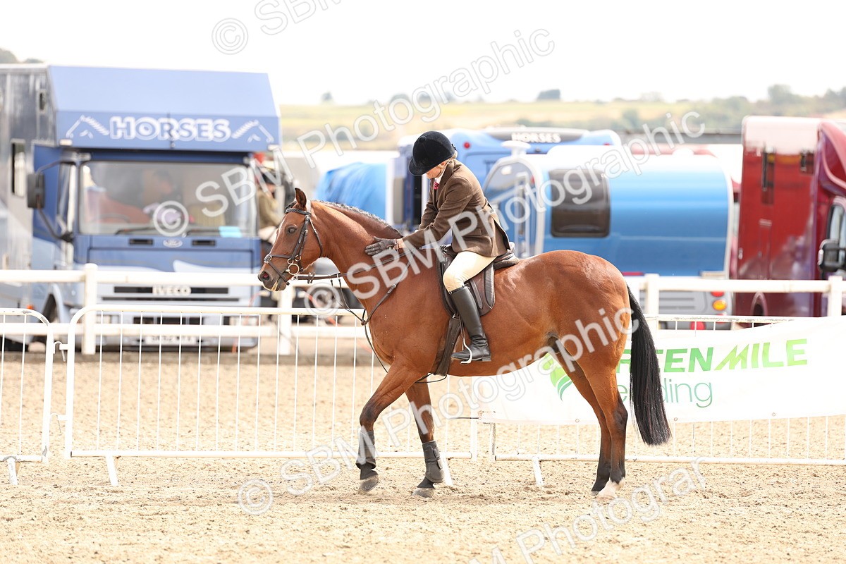 SBM_05164 - Class 56a -  Style & Performance - 50cm (15-19)