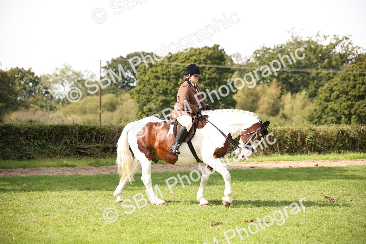 SBM_70056 - S65 - Piebald & Skewbald Horse Ridden