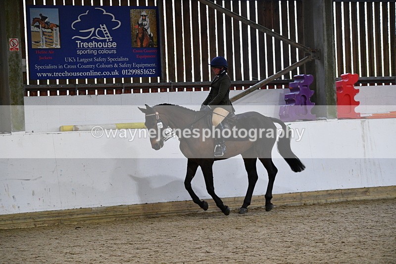 WJ5_8009 - Class 13 Ridden Part Breed