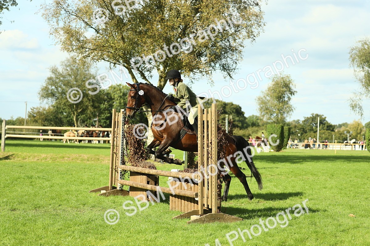 SBM_48091 - S32 - Novice & Newcomers Working Hunter