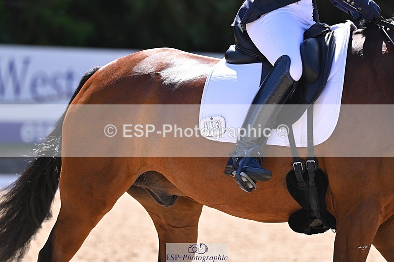 240809-111317-00536 - 133-Dawn.Bear-First.Taylor.Made