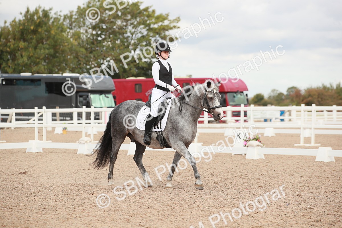 SBM_03919 - Class 31 - Prelim 1