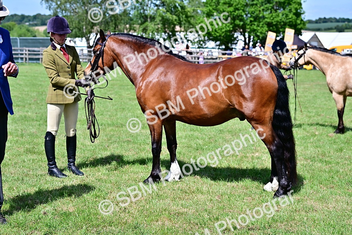 SBM_08060 - Class 61-62 - TSR  M&M Ridden Amateur of the Year