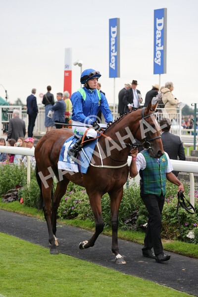 yr19082021r5-15 - Race 5 4.10pm OR8wellness ebfstallions Nursery Handicap