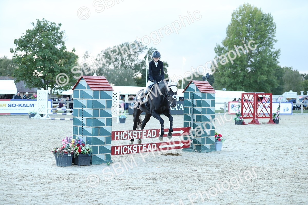 SBM_53658 - Supreme Championship 65cm 70cm