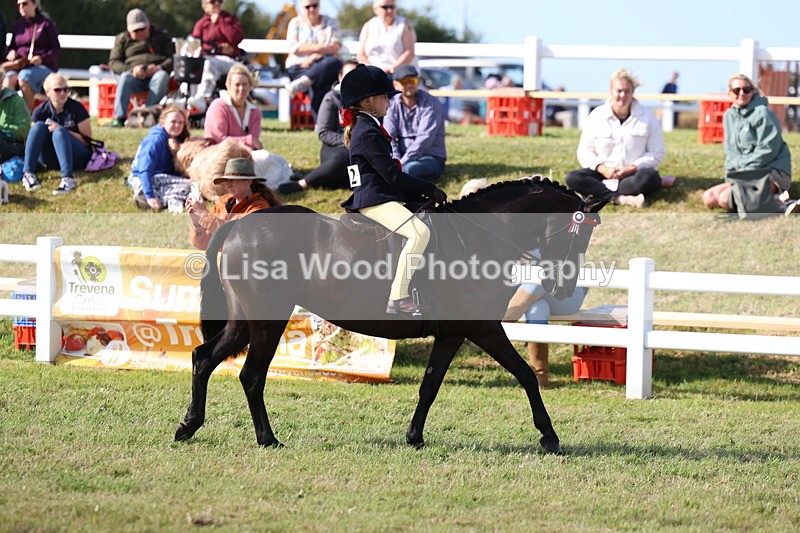 3E7A3781 - Supreme Championship