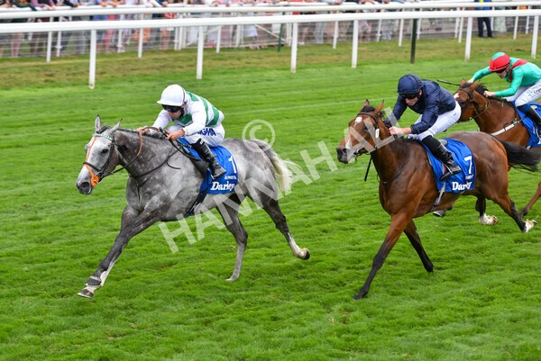 yr18082022r4-42 - Race 4 3.35pm Darley Yorkshire Oaks (British Champions Series Race)