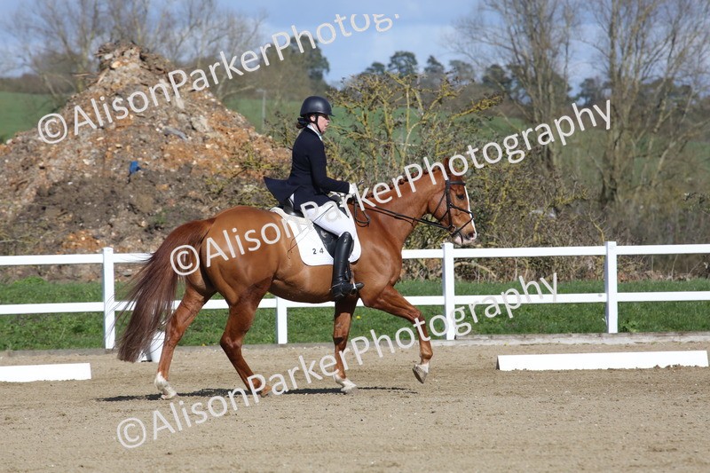 20260314-4131 - CT4 - Novice 1