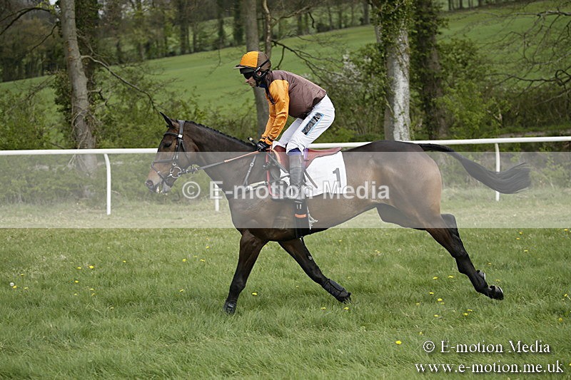 PtP 170417 154 - Old Berks Point-to-Point Lockinge 17/04/17
