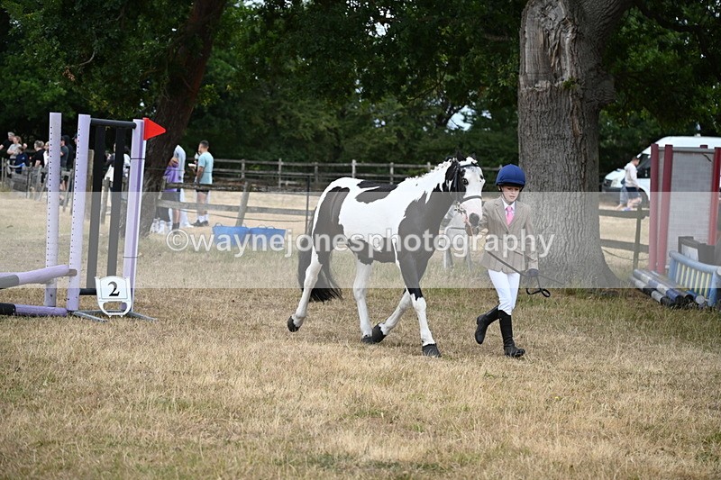 WJ6_8109 - Class 10 Coloured in Hand
