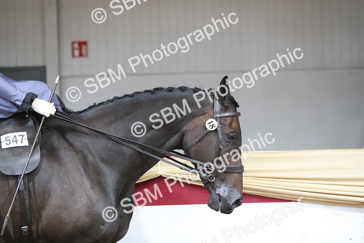 SBM_11511 - Class 105 Ridden Costume- Side Saddle