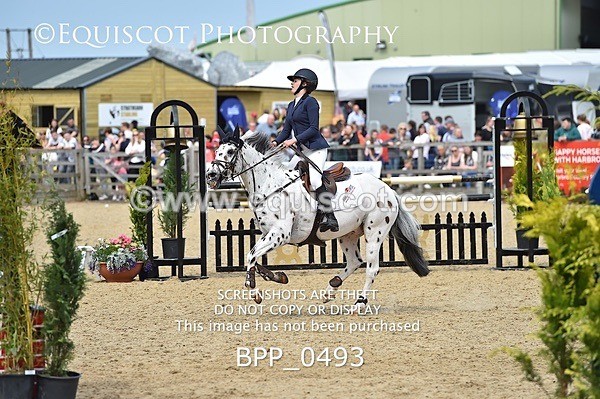BPP_0493 - RHS 2019 Selection - *Just some random spectator shots so Lucky Dip if you are there!