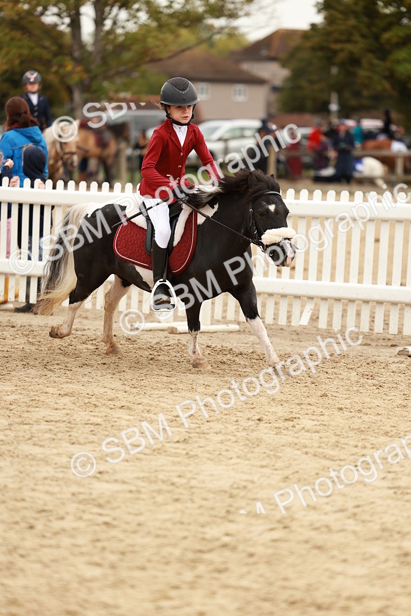 SBM_57936 - J11 - Junior Pony 50cm Championship