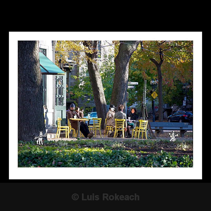Jaune Chaise - “Montréal, Vues de la ville” 30 janvier au 23 mars 2014