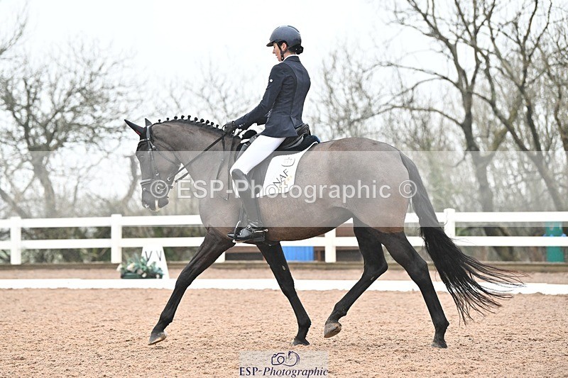 250215-115824-03305 - 165-Elder.Klatzko-Dynasty.Hit