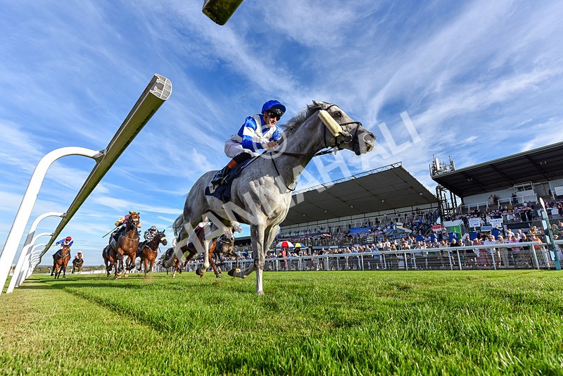 220926-Race 7-Mudamer-7601 - Race 7 5pm Fango Handicap (Div II)