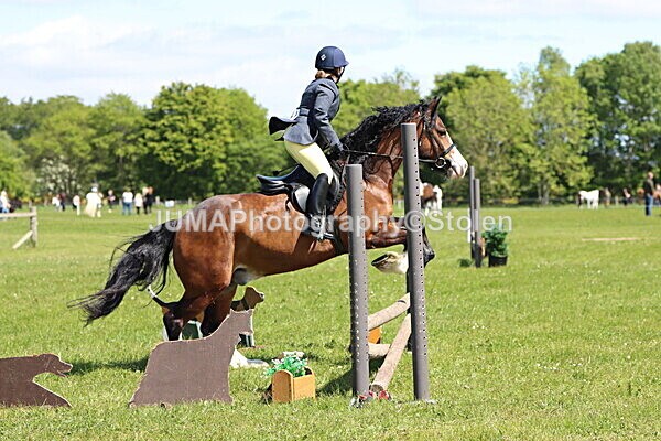 IMG_3481 - Working Hunter