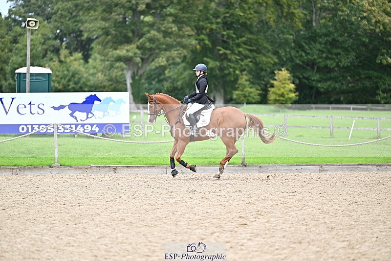 251005A-133825-04113 - Cls 09 Nov 80-85cm