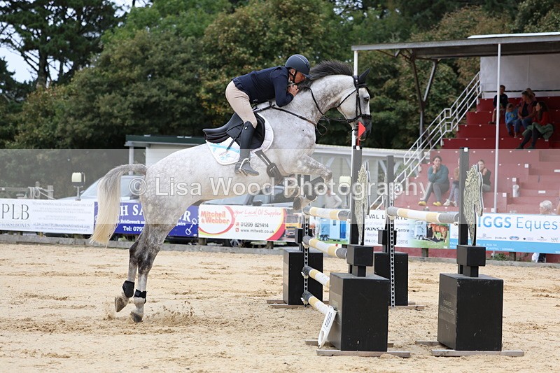 3E7A3335 - Class 9: Senior Foxhunter/1.20 open