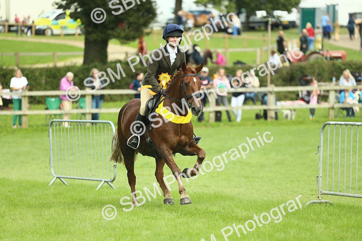 SBM_42258 - S29 - Novice & Newcomers Working Hunter Pony