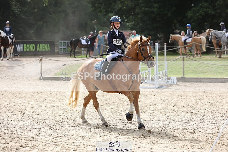 240823X-161704-19625 - 70cm Single Phase All