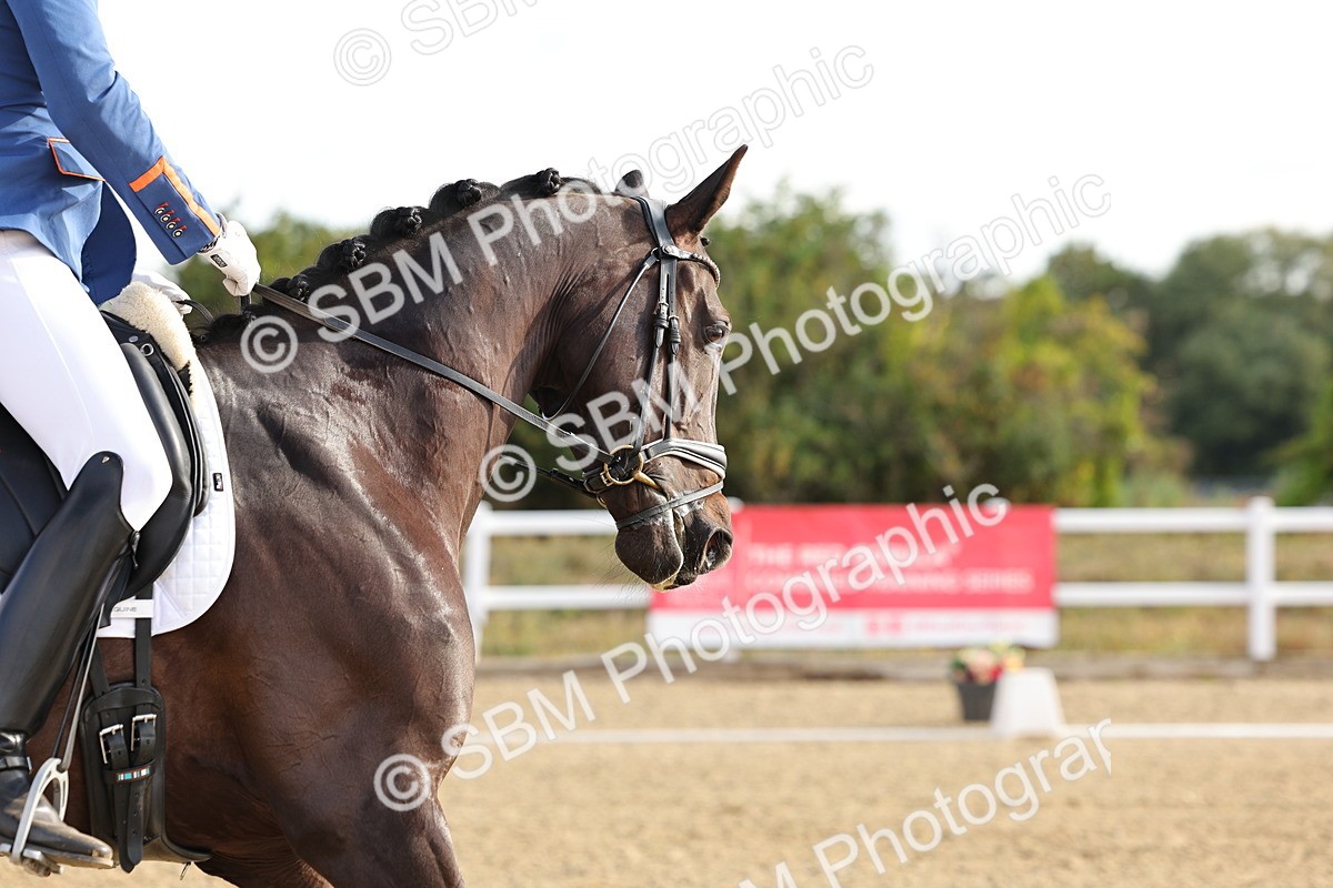 SBM_003019 - Class 3 - N4