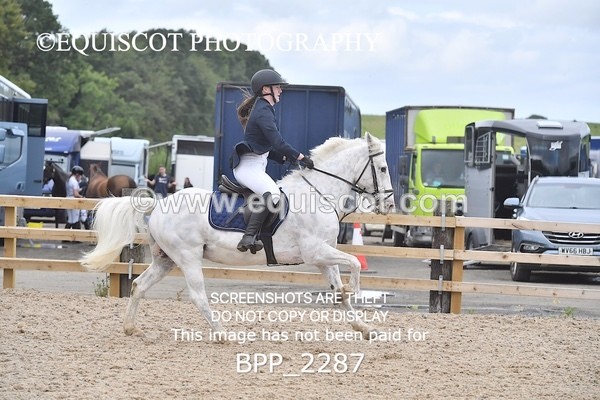 BPP_2287 - DERBY CLASS 6 - 70CM