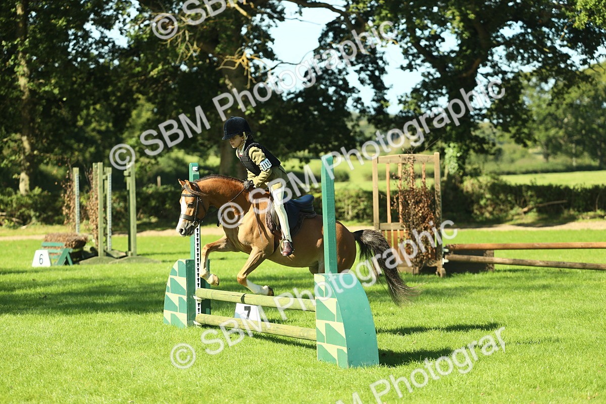 SBM_37424 - S29 - Novice & Newcomers Working Hunter Pony