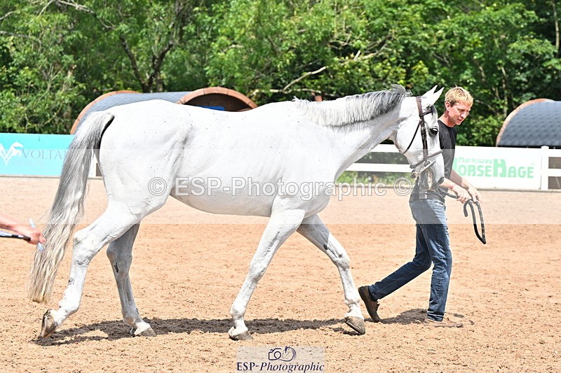 240718A-105312-01705 - Trot Up 1pm to 2pm