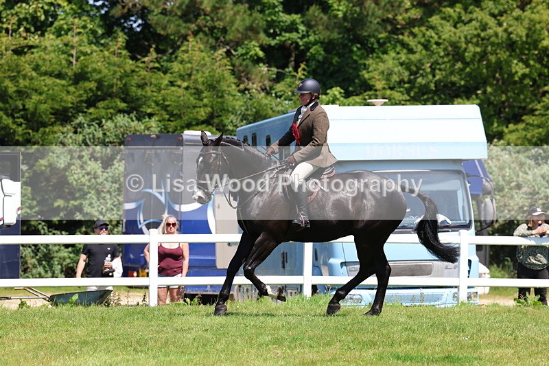 3E7A7433 - Class 30: Novice Working Hunter