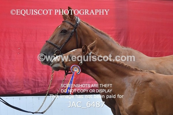 JAC_6487 - 19 Luca