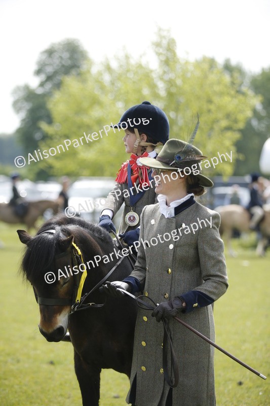 20260426-1892 - Class 7 - Pony Judge Would Most Like To Take Home
