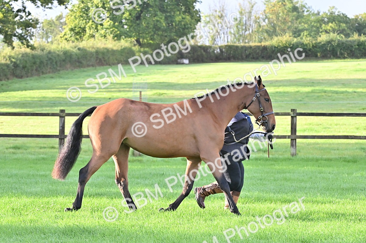 SBM_32591 - S15 - Top Turnout In Hand