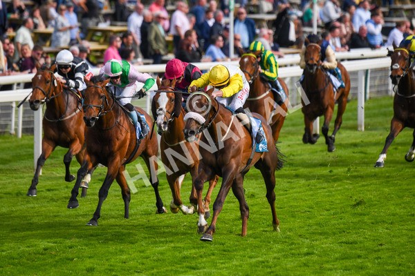 170523-Race 7-Kihavah-0951 - Race 7 5.15pm Stuey Weston & Friends Getting Out Handicap