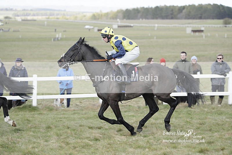 PtP 260223 811 - South & West Wilts Point-to-Point Larkhill 26/02/23