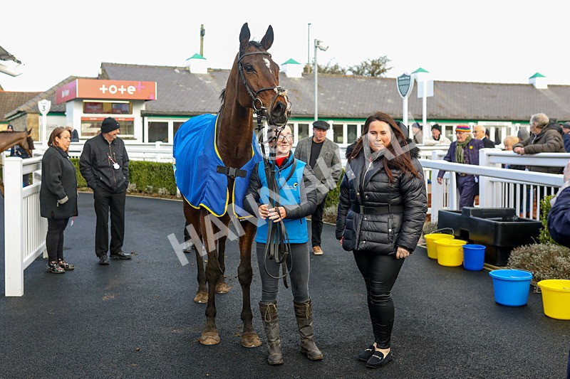 240124-Race 1-Mister Bells-5696 - Race 1